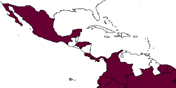 map of Dryinus surinamensis     Olmi, 1984